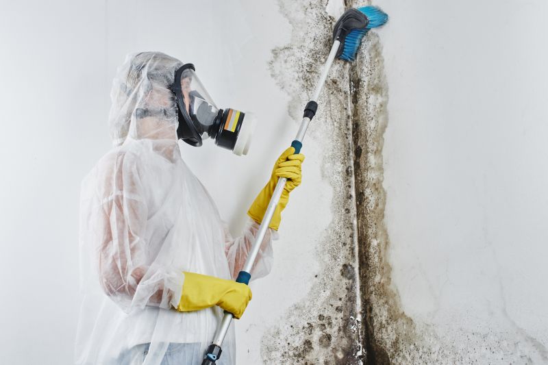 Mold Cleanup Service in Essex County, NJ