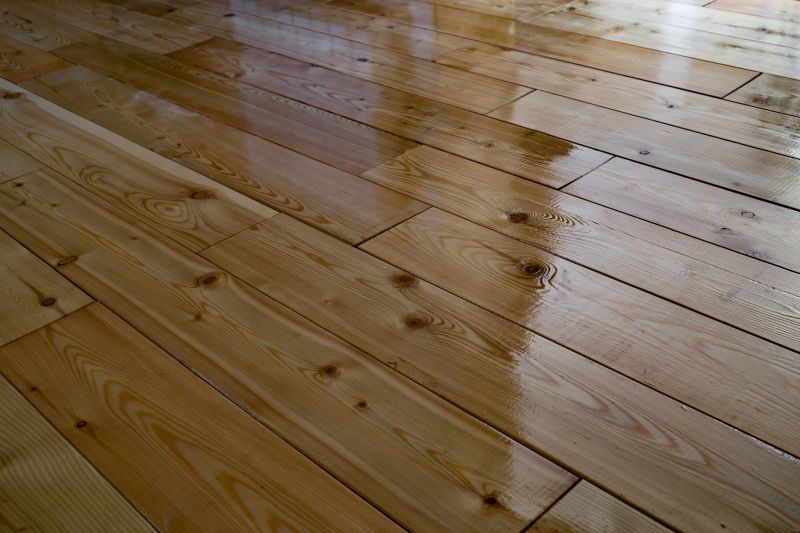 Hardwood Floor Cleaning